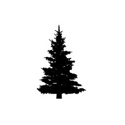 Tree 12