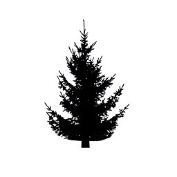 Tree 18