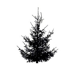 Tree 28