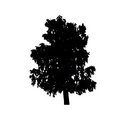 Tree 16